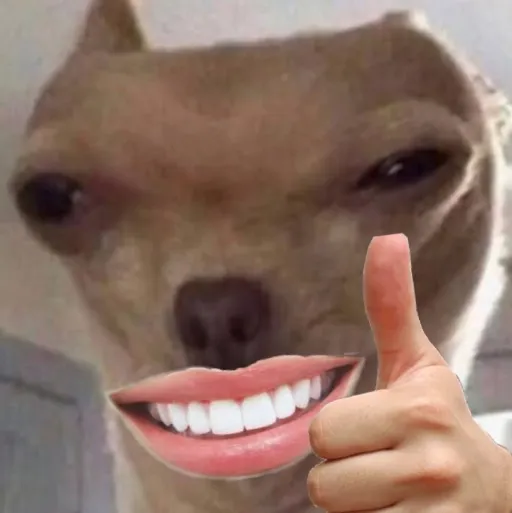 creator DOGGYSMILES's avatar