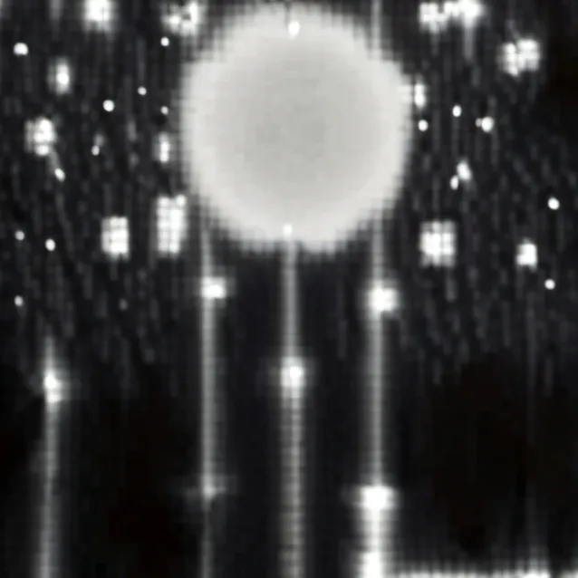 chat with ai character: WatashiWaStar