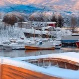 chat with ai character: legendary fisher