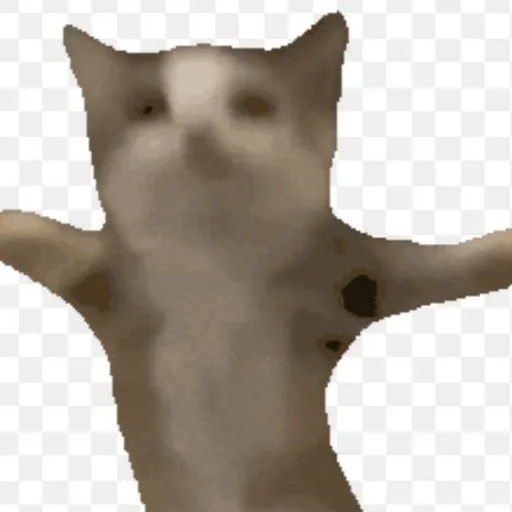 creator A Cat Lover 😺😍's avatar