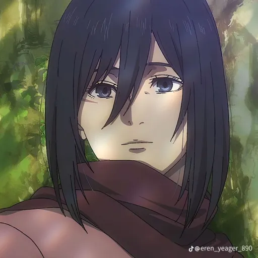 creator Mikasa_AoT19's avatar