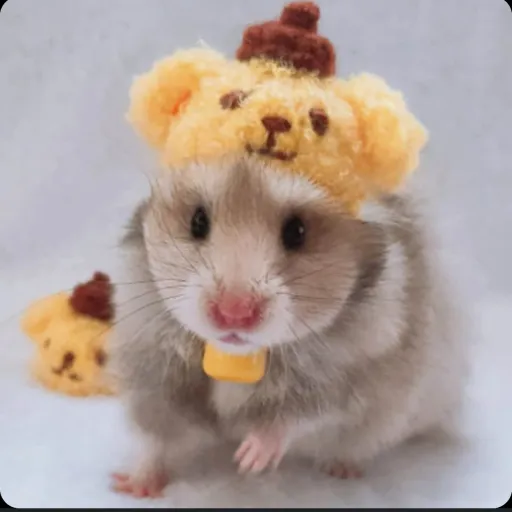 creator Animal group's avatar