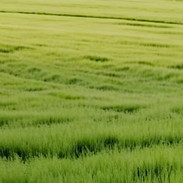 chat with ai character: Grass