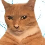 creator sigmacatt's avatar