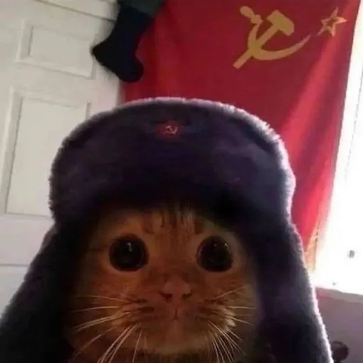 creator communistcat's avatar
