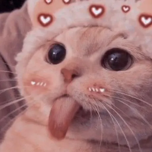creator ♡◇>_MARIAH_<◇♡'s avatar