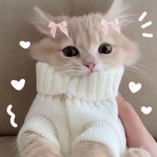 creator Millyy_'s avatar