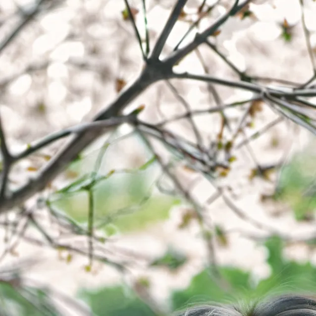 chat with ai character: BTS 