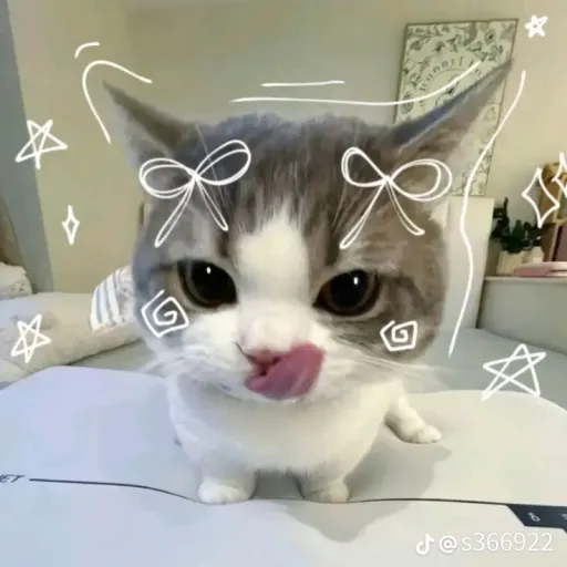 creator Alexa<33's avatar