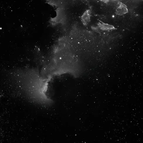 creator Nighttime 🖤's avatar