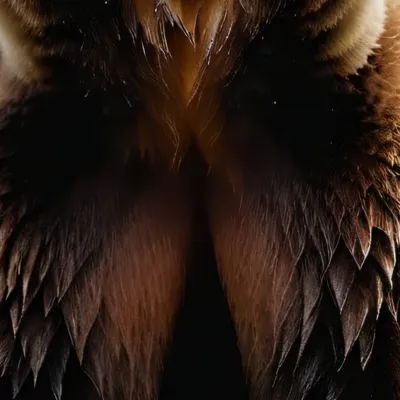 chat with ai character: Mama bear?