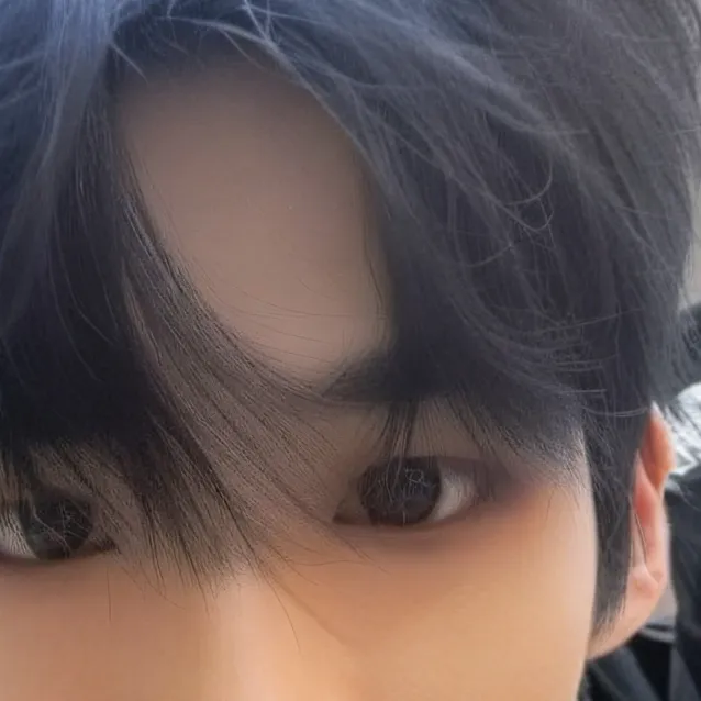 chat with ai character: SEVENTEEN
