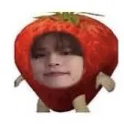 creator 🍓Seungberry🍓's avatar