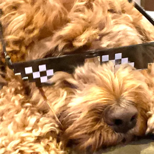 creator DRIPDAWG's avatar