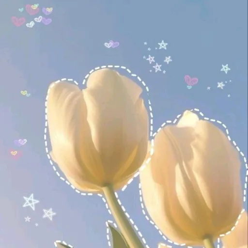 creator ✿Why_.Liyah✿'s avatar