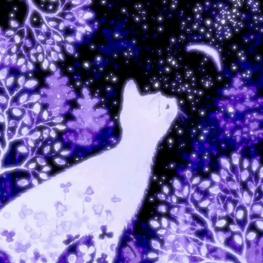 creator Mia୨୧•˙٭'s avatar