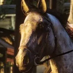 chat with ai character: Hosea Matthews | N