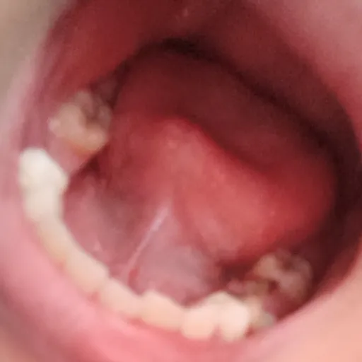 creator ThisMouth's avatar