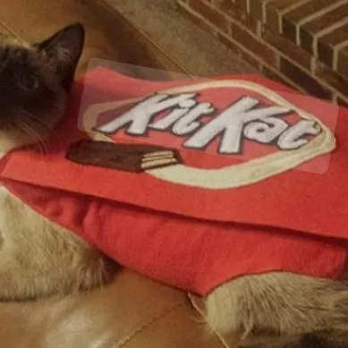 creator ✨🌟Kitkat❤️kitty✨🌟🍫's avatar