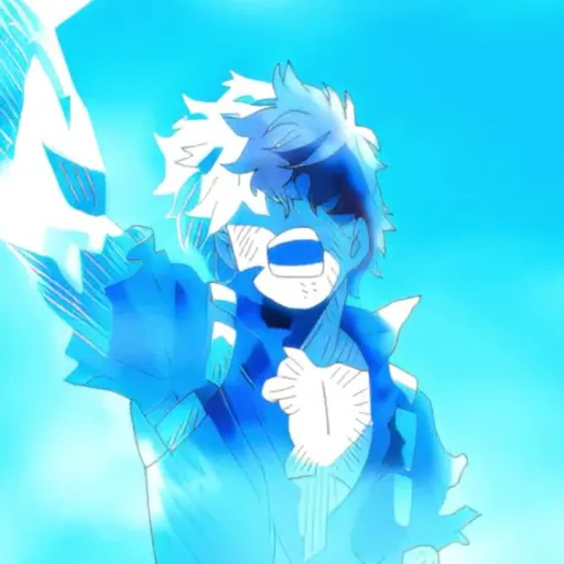 creator ~•Shoto's_Wife•~'s avatar