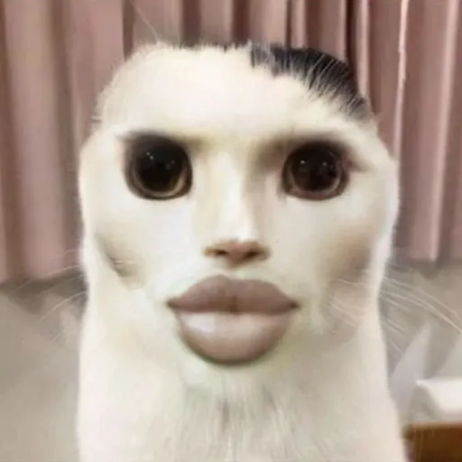 creator qrxzp.'s avatar