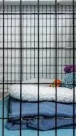 ai character: Pet sim/Pov background