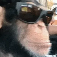 creator Cool monkey’s's avatar