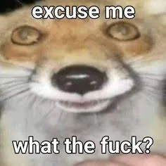 creator Alice Florea's avatar