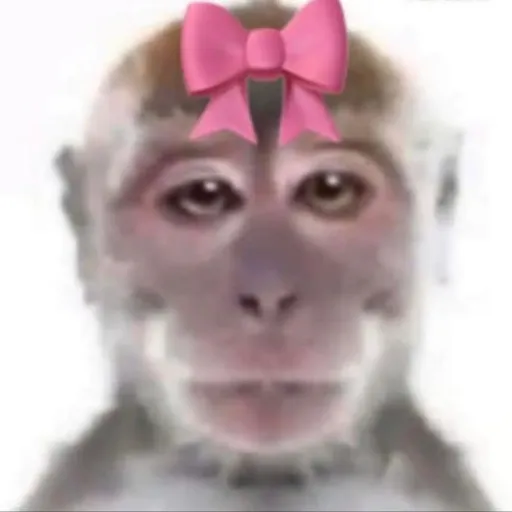 creator liyzz's avatar