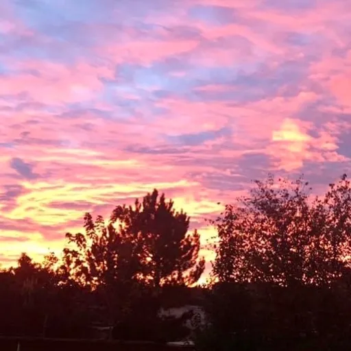 creator Morning sky light's avatar