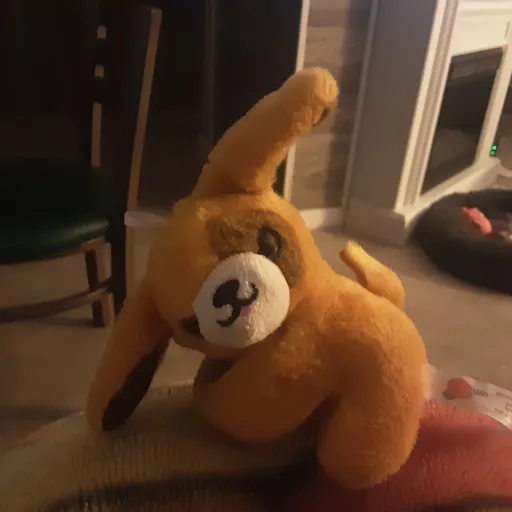 creator Pitou The Dog's avatar