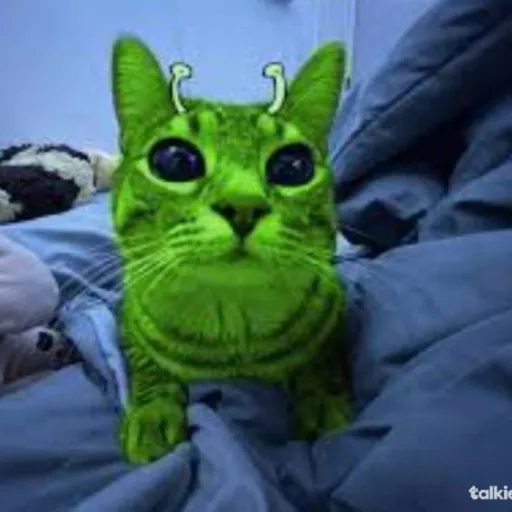 creator Spacey_the_Alien:D's avatar