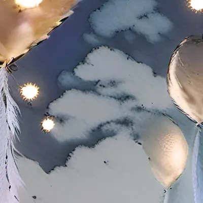 chat with ai character: Damien