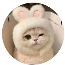creator Kylee Ozawa's avatar