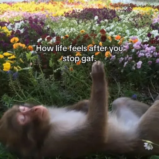 creator ིྀ𝑵𝒂𝒅𝒊𝒂࿐'s avatar