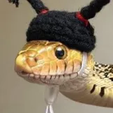 creator Sneaky Snake boi's avatar
