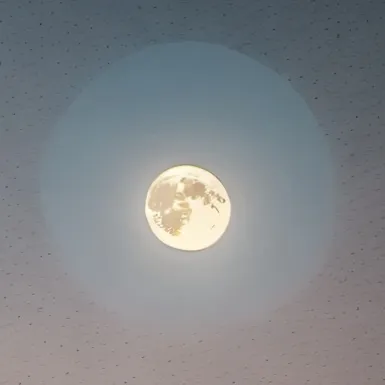 chat with ai character: donnie lifeguard 