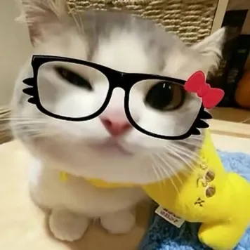 creator lancer Tan's avatar