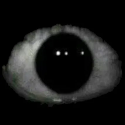 creator D0CT0R_W3IRDO's avatar