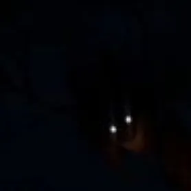 creator AlastorxNathaniel's avatar