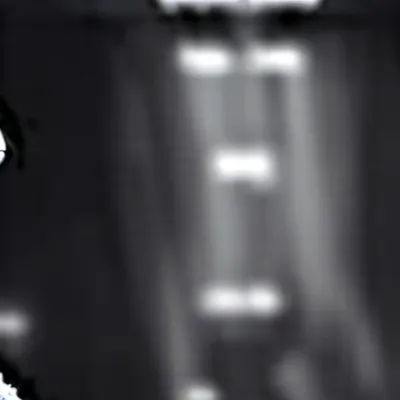 chat with ai character: Raptors