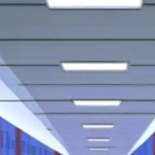 chat with ai character: FPE