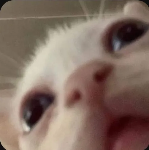 creator _stinky_'s avatar