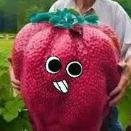 creator 🍓🌱 sprout🌱🍓's avatar