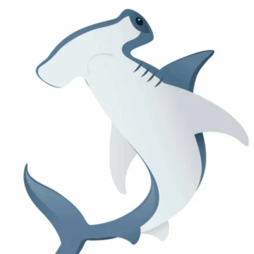 creator your local shark's avatar