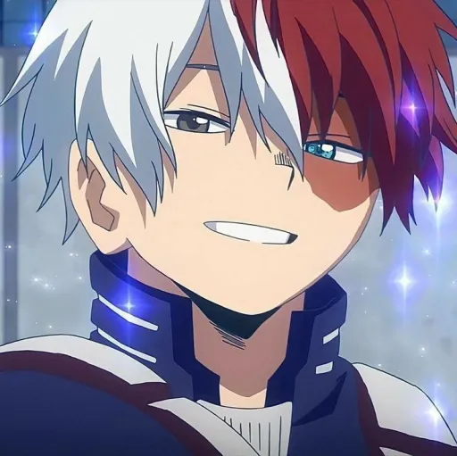 creator ❄️shoto🔥todoroki❄️'s avatar