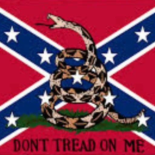 creator good ol' rebel_61🤠's avatar