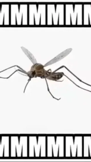 ai character: Mosquito go mmmmmm background