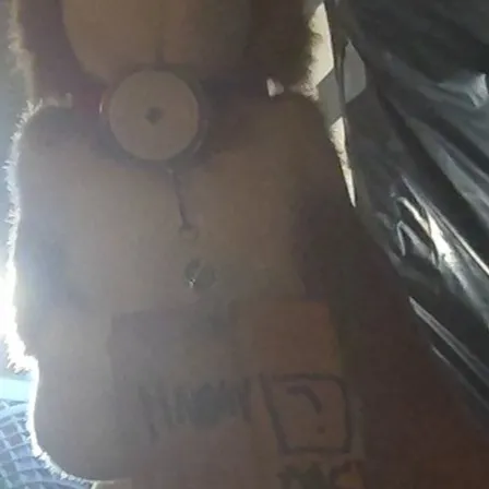 chat with ai character: Hammy