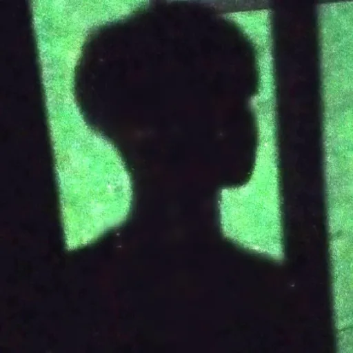 creator 𝓐𝓛𝓔𝓧𝓘𝓔𝓢 √'s avatar